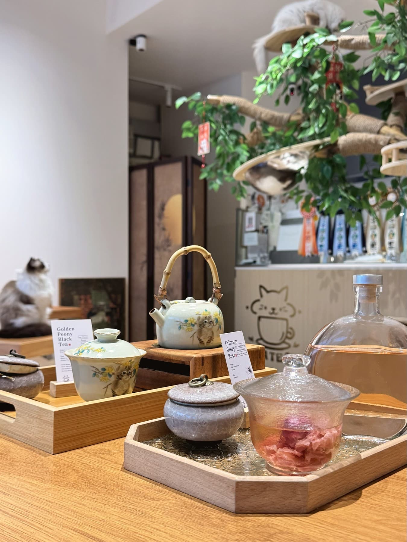 Calm interior of Catea teahouse